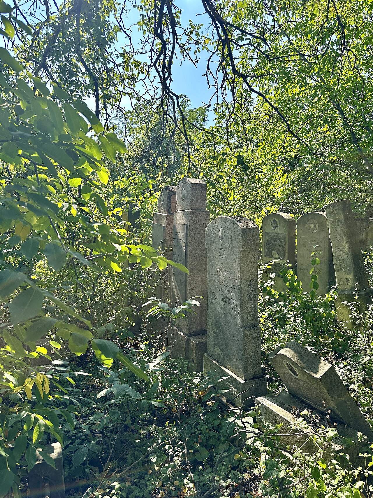 cimitir