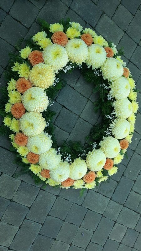 Fotografie 7