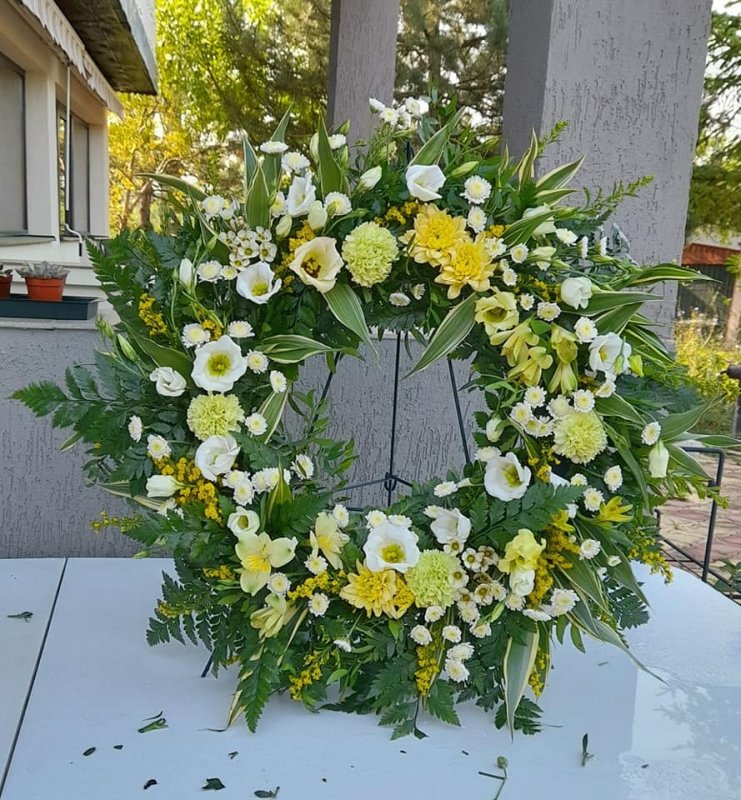 Fotografie 7