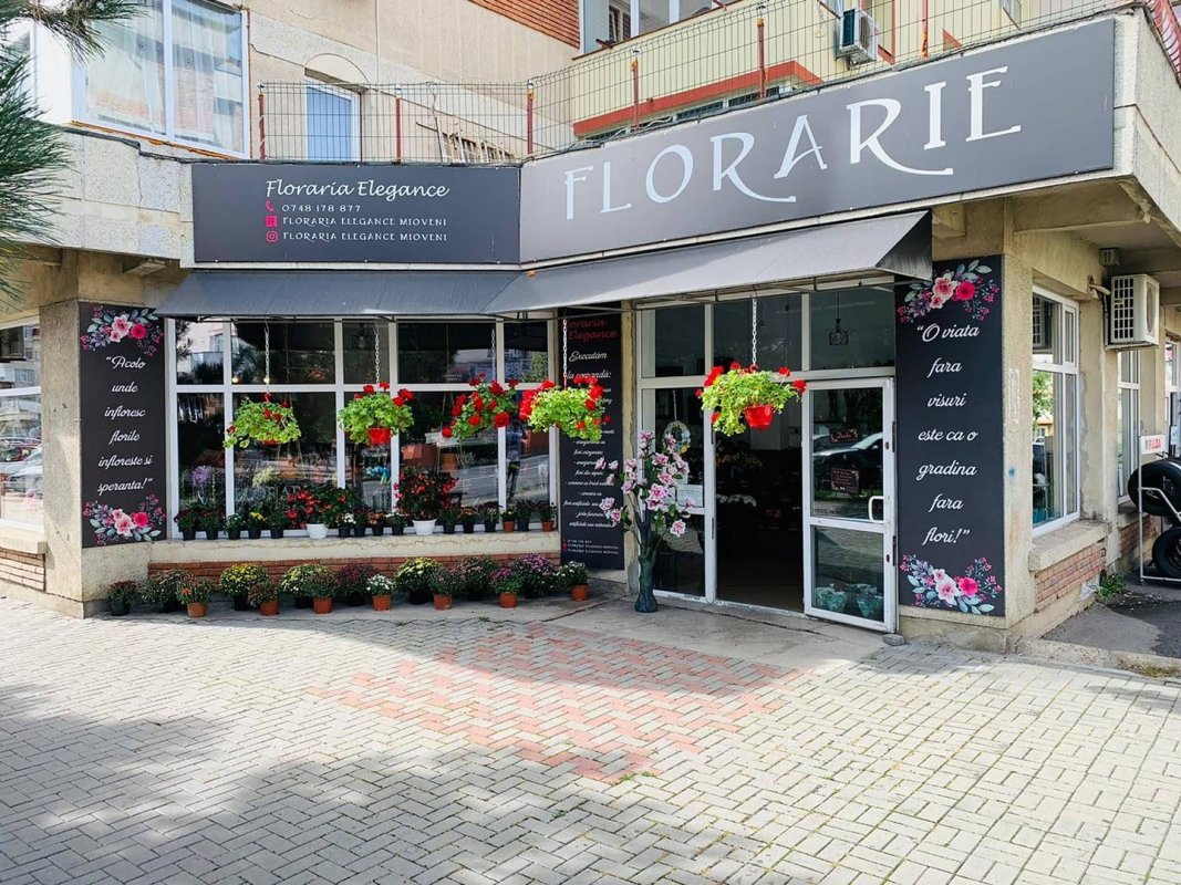 Fotografie 4