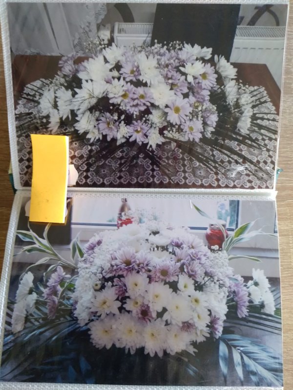 Fotografie 23