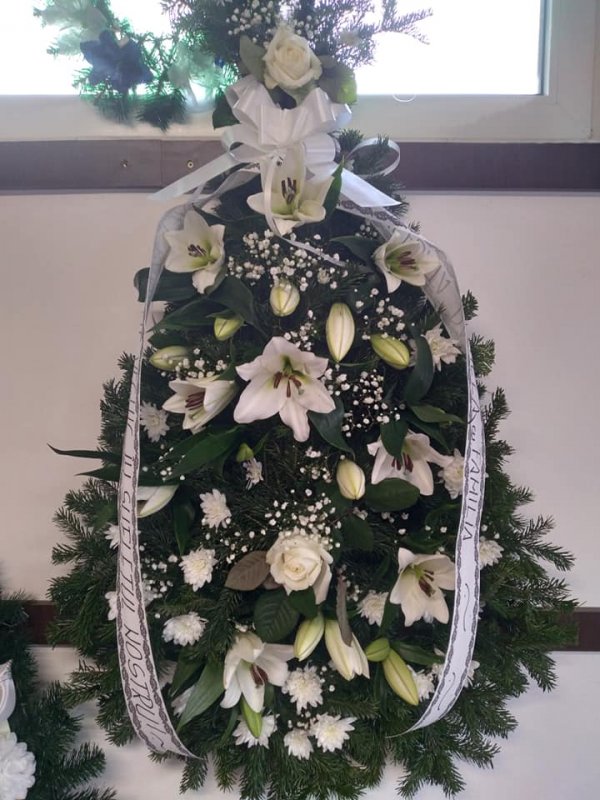 Fotografie 13