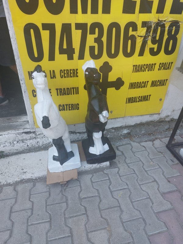 Fotografie 31